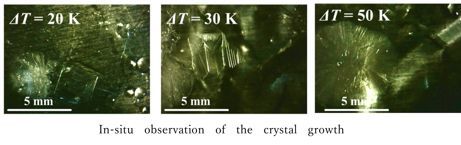 EarthandSpaceMaterialsSciencePic3.jpg (127230)