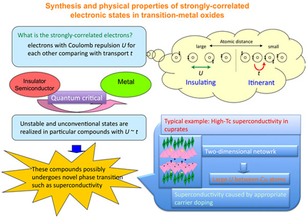 Synthesis and physical properties of strongly-correlated electronic states in transition-metal oxides