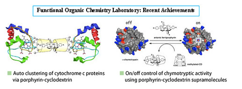 Auto clustering of cytochrome c proteins via porphyrin-cyclodextrin / On/off control of chymotryptic activity using porphyrin-cyclodextrin supramolecules