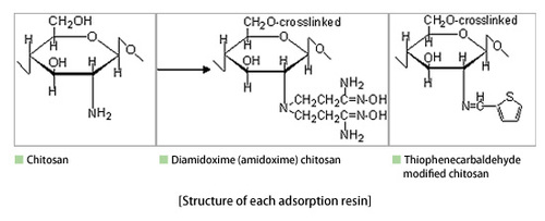 Chitosan / Diamidoxime (amidoxime) chitosan / Thiophenecarbaldehyde modified chitosan